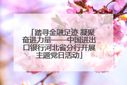 踏寻金融足迹 凝聚奋进力量——中国进出口银行河北省分行开展主题党日活动