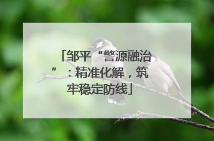 邹平“警源融治”：精准化解，筑牢稳定防线