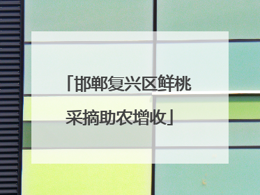 邯郸复兴区鲜桃采摘助农增收