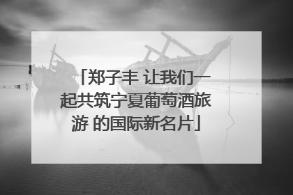 郑子丰 让我们一起共筑宁夏葡萄酒旅游 的国际新名片
