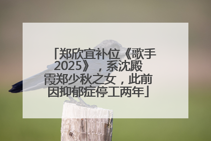 郑欣宜补位《歌手2025》，系沈殿霞郑少秋之女，此前因抑郁症停工两年