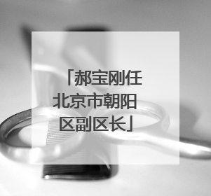 郝宝刚任北京市朝阳区副区长