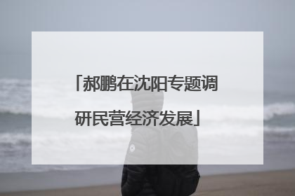 郝鹏在沈阳专题调研民营经济发展