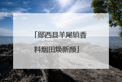 郧西县羊尾镇香料烟田焕新颜