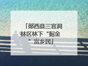 郧西县三官洞林区林下“掘金”富乡民