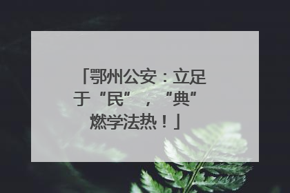 鄂州公安：立足于“民”，“典”燃学法热！