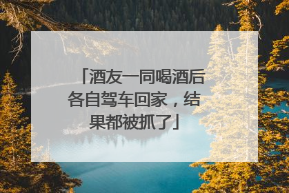 酒友一同喝酒后各自驾车回家，结果都被抓了