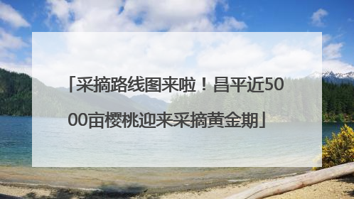 采摘路线图来啦！昌平近5000亩樱桃迎来采摘黄金期