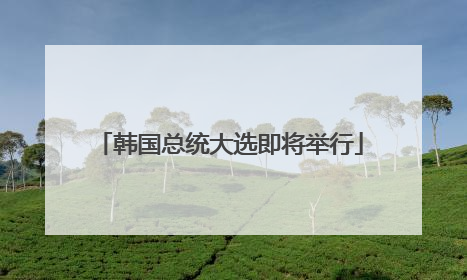 韩国总统大选即将举行