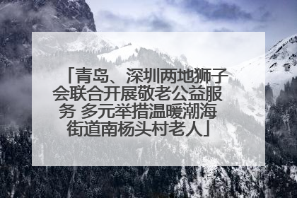 青岛、深圳两地狮子会联合开展敬老公益服务 多元举措温暖潮海街道南杨头村老人