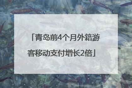 青岛前4个月外籍游客移动支付增长2倍