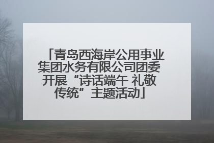 青岛西海岸公用事业集团水务有限公司团委开展“诗话端午 礼敬传统”主题活动