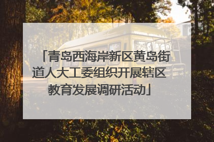 青岛西海岸新区黄岛街道人大工委组织开展辖区教育发展调研活动