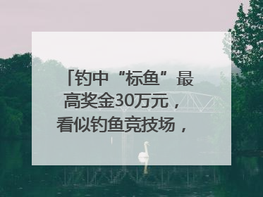钓中“标鱼”最高奖金30万元，看似钓鱼竞技场，实则以高额“回报”作“饵”……｜今晚九点半