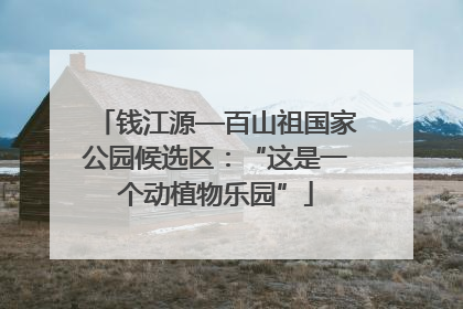 钱江源—百山祖国家公园候选区：“这是一个动植物乐园”