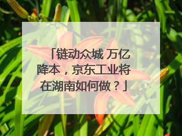 链动众城 万亿降本，京东工业将在湖南如何做？
