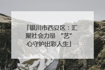 银川市西夏区：汇聚社会力量 “艺”心守护出彩人生