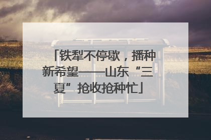 铁犁不停歇，播种新希望——山东“三夏”抢收抢种忙
