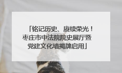 铭记历史、赓续荣光！枣庄市中法院院史展厅暨党建文化墙揭牌启用