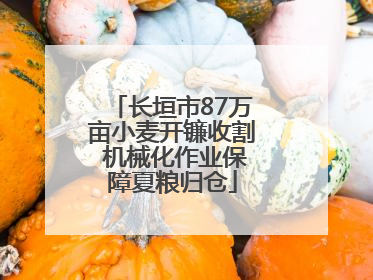 长垣市87万亩小麦开镰收割 机械化作业保障夏粮归仓