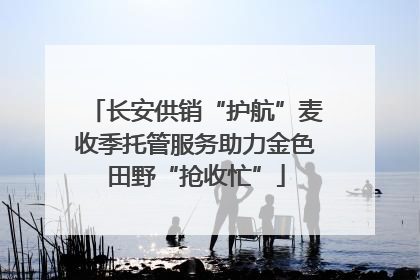 长安供销“护航”麦收季托管服务助力金色田野“抢收忙”