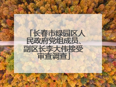 长春市绿园区人民政府党组成员、副区长李大伟接受审查调查