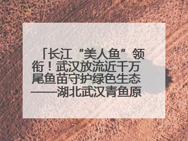 长江“美人鱼”领衔！武汉放流近千万尾鱼苗守护绿色生态——湖北武汉青鱼原种场参加2025年“全国放鱼日”增殖放流活动
