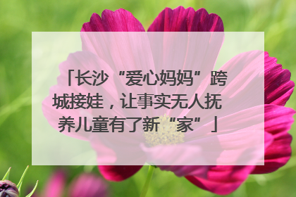 长沙“爱心妈妈”跨城接娃，让事实无人抚养儿童有了新“家”