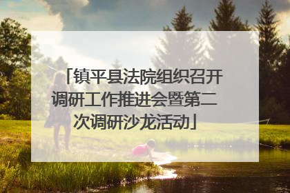 镇平县法院组织召开调研工作推进会暨第二次调研沙龙活动