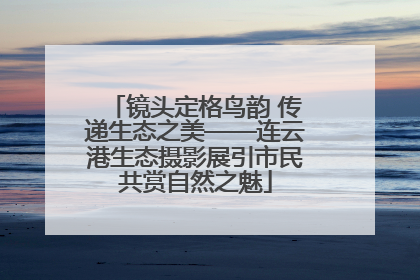镜头定格鸟韵 传递生态之美——连云港生态摄影展引市民共赏自然之魅