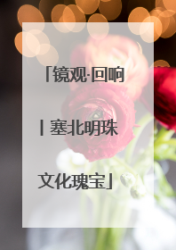 镜观·回响丨塞北明珠 文化瑰宝