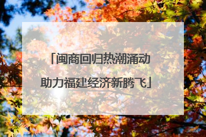 闽商回归热潮涌动 助力福建经济新腾飞