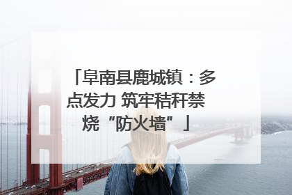 阜南县鹿城镇：多点发力 筑牢秸秆禁烧“防火墙”