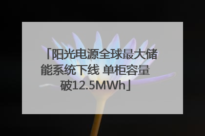 阳光电源全球最大储能系统下线 单柜容量破12.5MWh