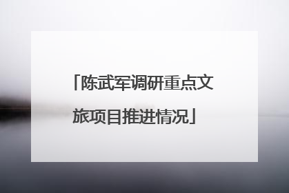 陈武军调研重点文旅项目推进情况