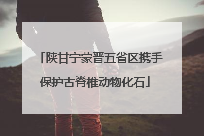 陕甘宁蒙晋五省区携手保护古脊椎动物化石