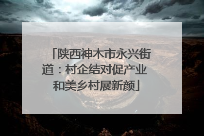 陕西神木市永兴街道：村企结对促产业 和美乡村展新颜