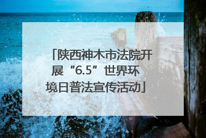 陕西神木市法院开展“6.5”世界环境日普法宣传活动