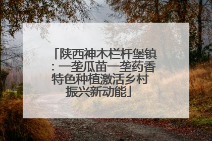 陕西神木栏杆堡镇：一垄瓜苗一垄药香 特色种植激活乡村振兴新动能