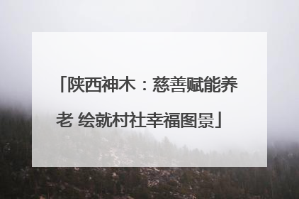 陕西神木：慈善赋能养老 绘就村社幸福图景