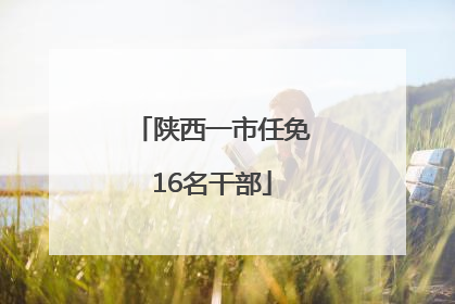 陕西一市任免16名干部
