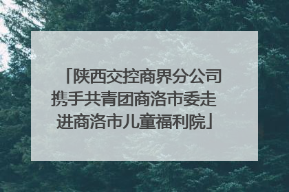 陕西交控商界分公司携手共青团商洛市委走进商洛市儿童福利院