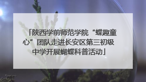 陕西学前师范学院“蝶趣童心”团队走进长安区第三初级中学开展蝴蝶科普活动
