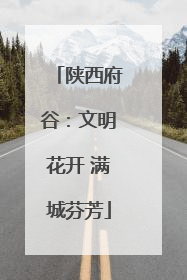 陕西府谷：文明花开 满城芬芳