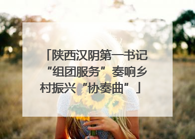 陕西汉阴第一书记“组团服务”奏响乡村振兴“协奏曲”