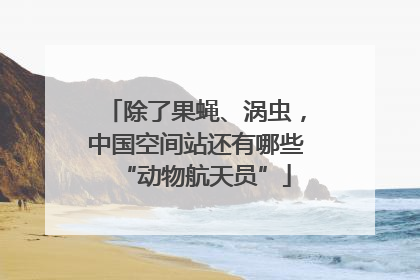 除了果蝇、涡虫，中国空间站还有哪些“动物航天员”