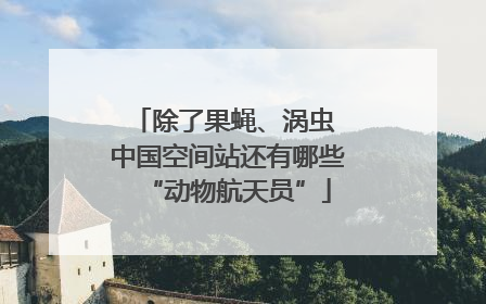 除了果蝇、涡虫 中国空间站还有哪些“动物航天员”