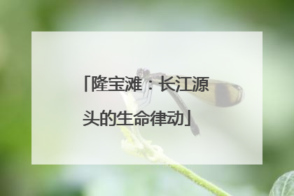 隆宝滩：长江源头的生命律动
