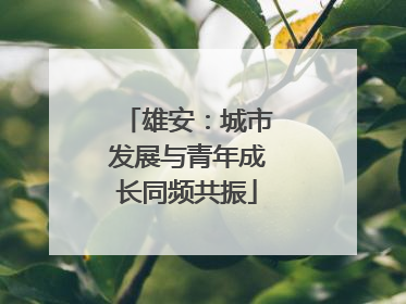 雄安：城市发展与青年成长同频共振