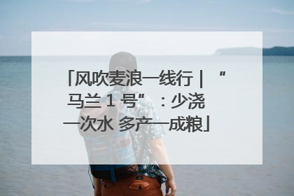 风吹麦浪一线行｜“马兰 1 号”：少浇一次水 多产一成粮